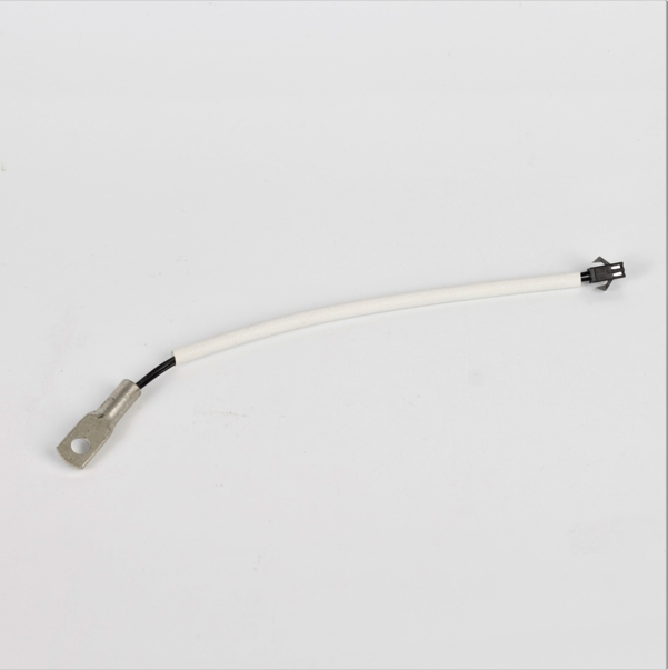 Custom High-Precision Ring-Mounted PT100 Temperature Sensor